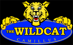 The Wildcat